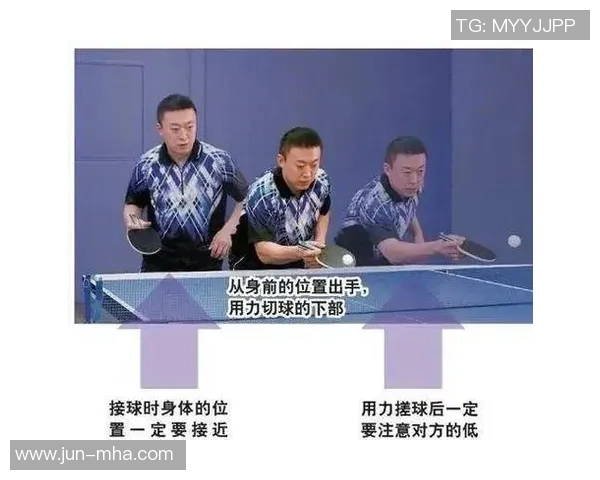 乒乓球新手必看：从基础技术到实战技巧的全面入门指南