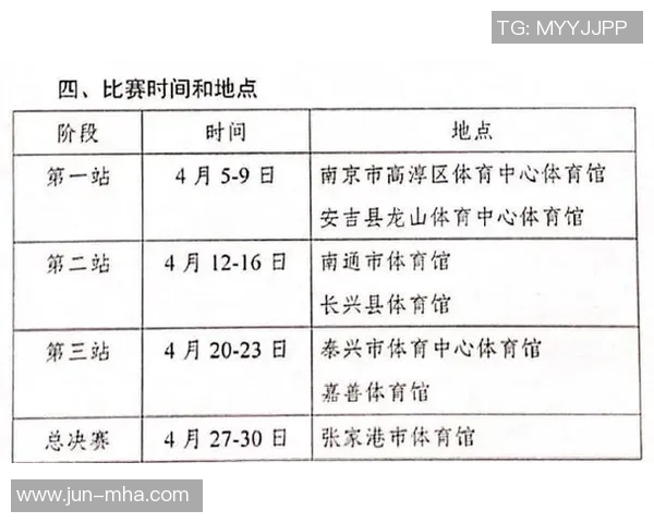 南京排球队在冠军赛中的技术表现分析与未来发展展望