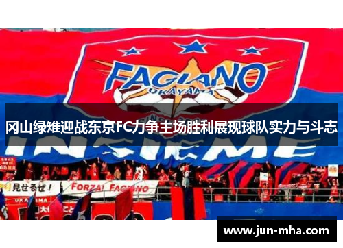 冈山绿雉迎战东京FC力争主场胜利展现球队实力与斗志
